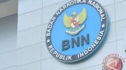 CPNS BNN 2024, Jumlah formasi dan penempatannya