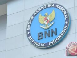 CPNS BNN 2024, Jumlah formasi dan penempatannya