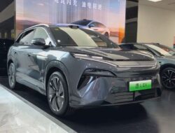 BYD Tang L EV dan PHEV SUV dibanderol mulai dari Rp534 juta