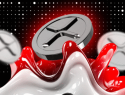Analis Teknikal Wanti-wanti Harga XRP Bisa Terjun Bebas 50%